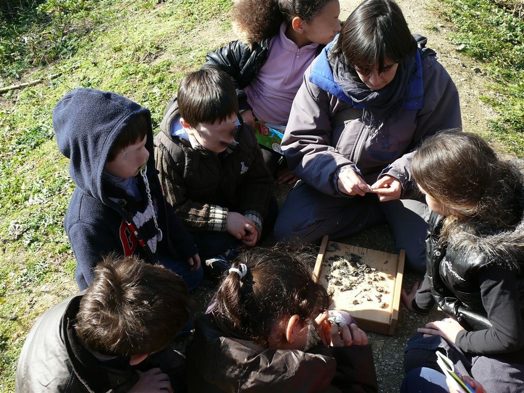 Safari Junior  « Sur les traces des animaux »